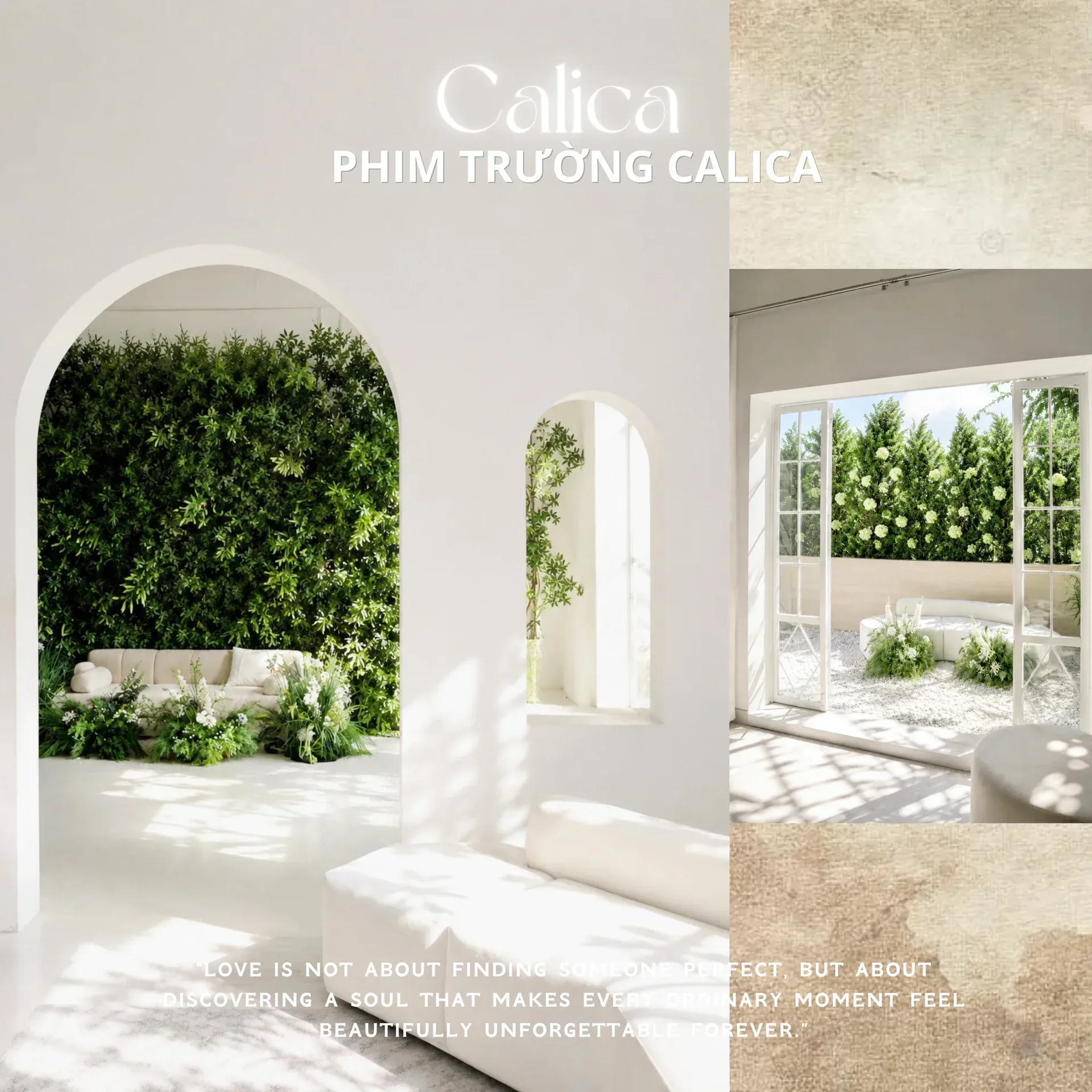 PHIM TRƯỜNG CALICA MỚI NHẤT 2026